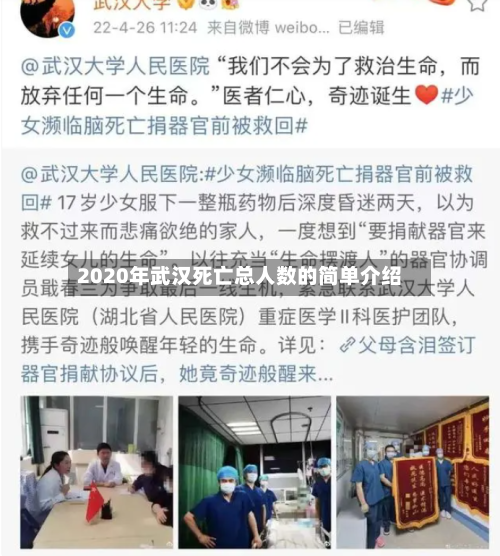 2020年武汉死亡总人数的简单介绍-第2张图片