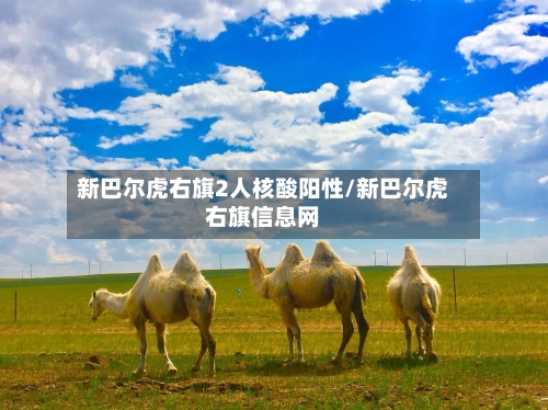 新巴尔虎右旗2人核酸阳性/新巴尔虎右旗信息网-第2张图片