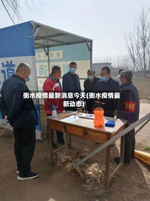 衡水疫情最新消息今天(衡水疫情最新动态)-第2张图片