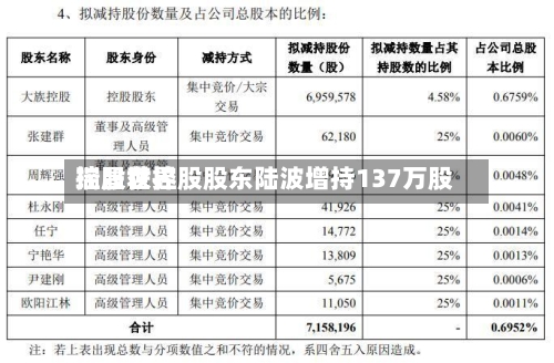 瑞昌世界控股获控股股东陆波增持137万股-第2张图片