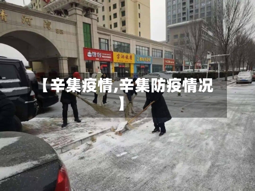 【辛集疫情,辛集防疫情况】