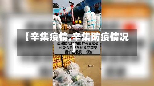 【辛集疫情,辛集防疫情况】-第2张图片