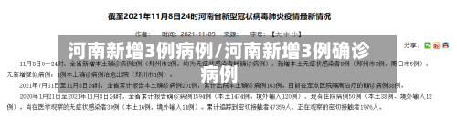 河南新增3例病例/河南新增3例确诊病例