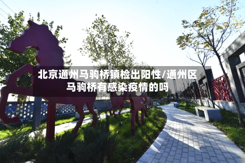 北京通州马驹桥镇检出阳性/通州区马驹桥有感染疫情的吗