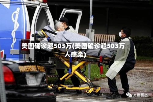 美国确诊超503万(美国确诊超503万人感染)-第2张图片