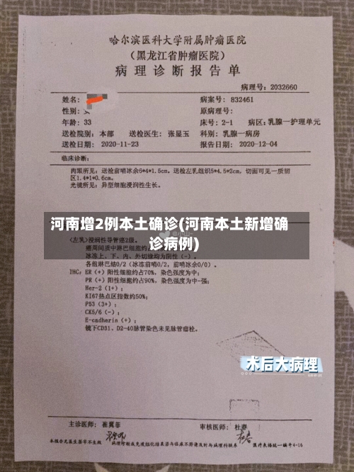 河南增2例本土确诊(河南本土新增确诊病例)-第2张图片