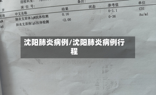 沈阳肺炎病例/沈阳肺炎病例行程-第2张图片