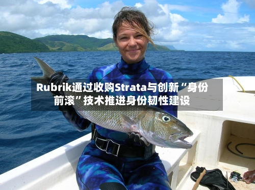 Rubrik通过收购Strata与创新“身份前滚”技术推进身份韧性建设-第2张图片