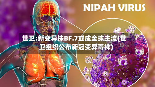 世卫:新变异株BF.7或成全球主流(世卫组织公布新冠变异毒株)