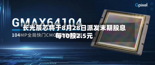 长光辰芯将于8月28日派发末期股息每10股2.5元-第2张图片
