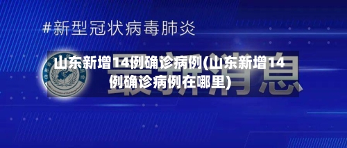 山东新增14例确诊病例(山东新增14例确诊病例在哪里)