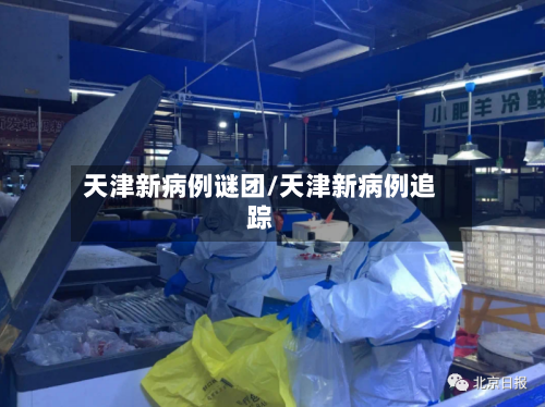 天津新病例谜团/天津新病例追踪
