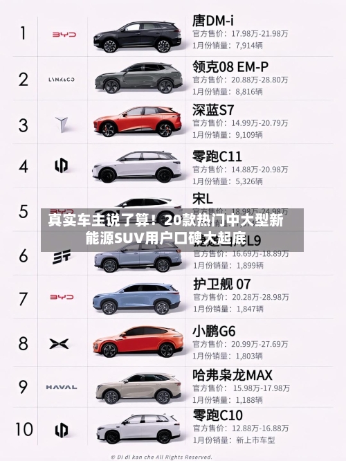 真实车主说了算!20款热门中大型新能源SUV用户口碑大起底-第2张图片