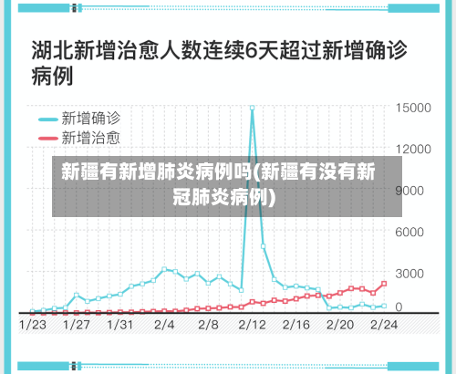 新疆有新增肺炎病例吗(新疆有没有新冠肺炎病例)-第2张图片