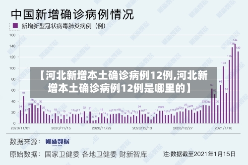 【河北新增本土确诊病例12例,河北新增本土确诊病例12例是哪里的】-第2张图片