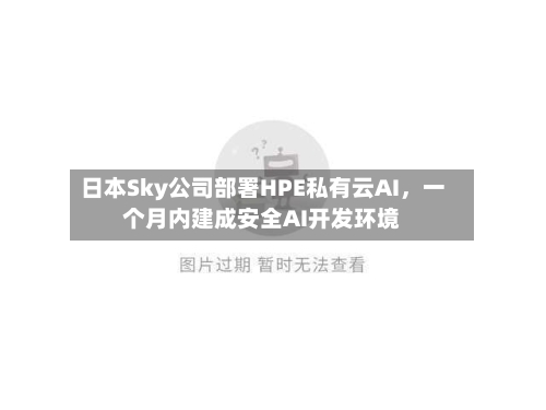 日本Sky公司部署HPE私有云AI，一个月内建成安全AI开发环境-第3张图片