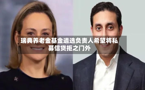 瑞典养老金基金遴选负责人希望将私募信贷拒之门外-第3张图片