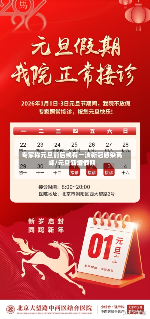 专家称元旦前后或有一波新冠感染高峰/元旦新增假期