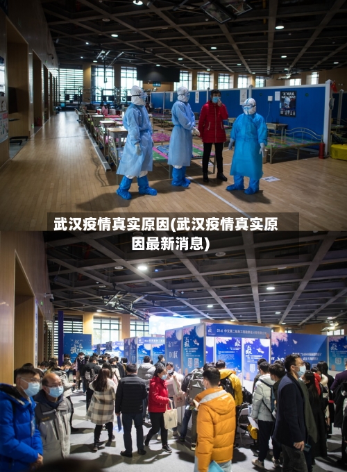 武汉疫情真实原因(武汉疫情真实原因最新消息)