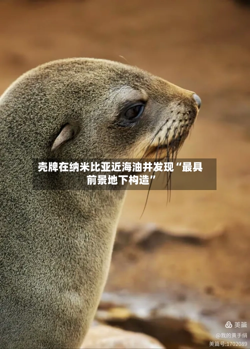 壳牌在纳米比亚近海油井发现“最具前景地下构造”