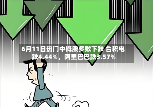 6月11日热门中概股多数下跌 台积电跌4.44%	，阿里巴巴跌3.57%-第3张图片