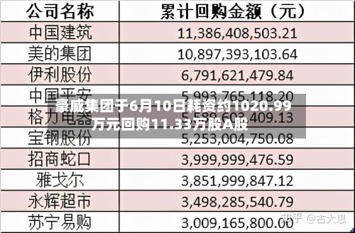 豪威集团于6月10日耗资约1020.99万元回购11.33万股A股