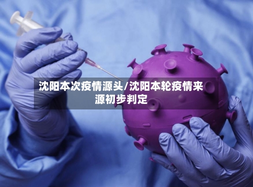 沈阳本次疫情源头/沈阳本轮疫情来源初步判定-第2张图片