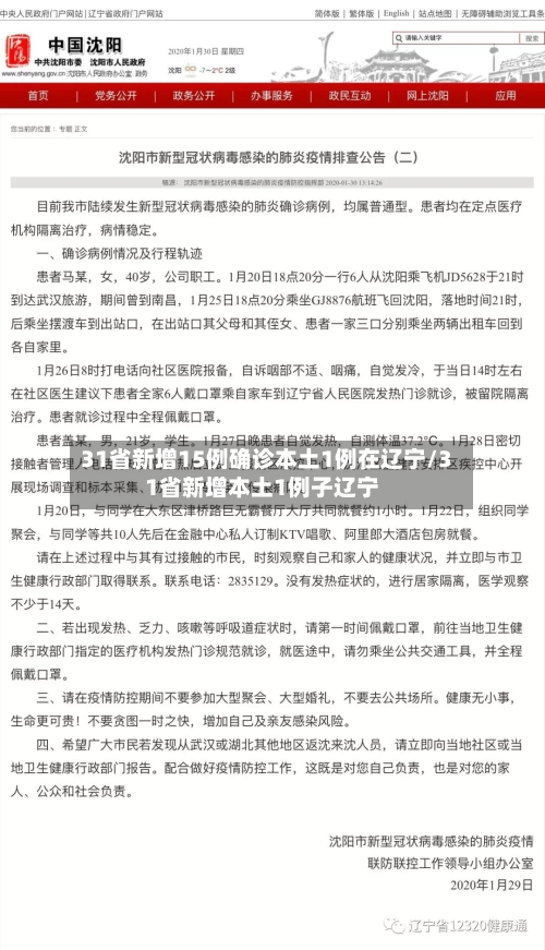 31省新增15例确诊本土1例在辽宁/31省新增本土1例子辽宁