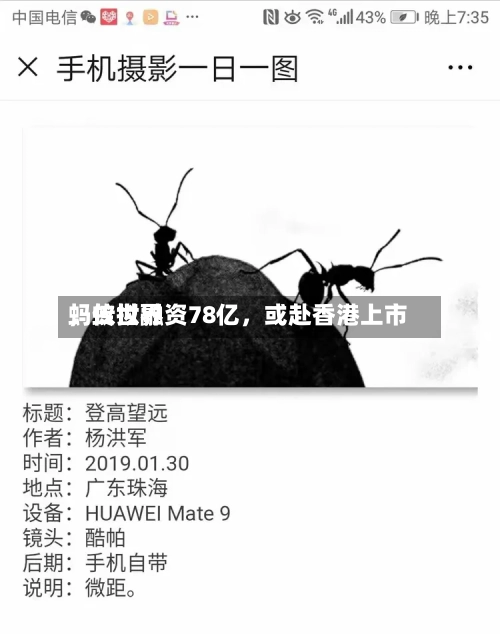 蚂蚁世界，传拟融资78亿	，或赴香港上市-第2张图片