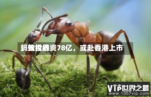 蚂蚁世界，传拟融资78亿，或赴香港上市