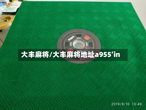大丰麻将/大丰麻将地址a955’in-第2张图片