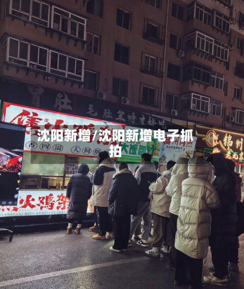 沈阳新增/沈阳新增电子抓拍