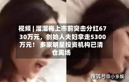 视频 | 溜溜梅上市前突击分红6730万元，创始人夫妇拿走5300万元！ 多家明星投资机构已清仓离场-第2张图片