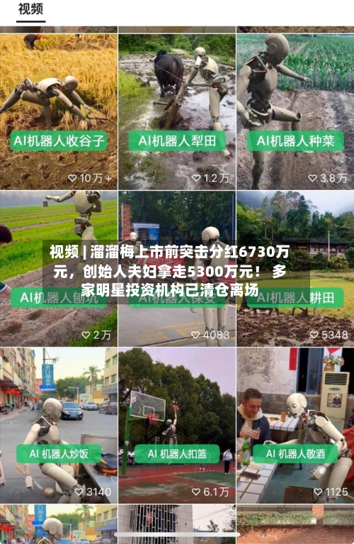 视频 | 溜溜梅上市前突击分红6730万元，创始人夫妇拿走5300万元！ 多家明星投资机构已清仓离场-第3张图片