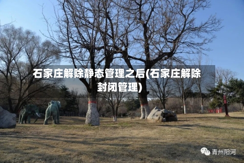 石家庄解除静态管理之后(石家庄解除封闭管理)-第2张图片
