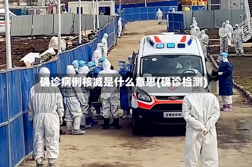 确诊病例核减是什么意思(确诊检测)