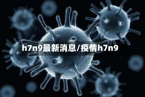 h7n9最新消息/疫情h7n9