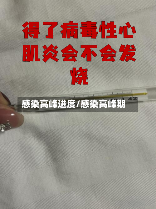感染高峰进度/感染高峰期-第2张图片