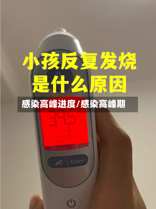 感染高峰进度/感染高峰期