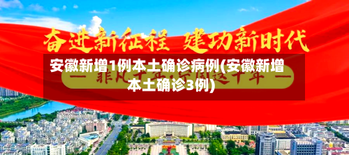 安徽新增1例本土确诊病例(安徽新增本土确诊3例)-第3张图片