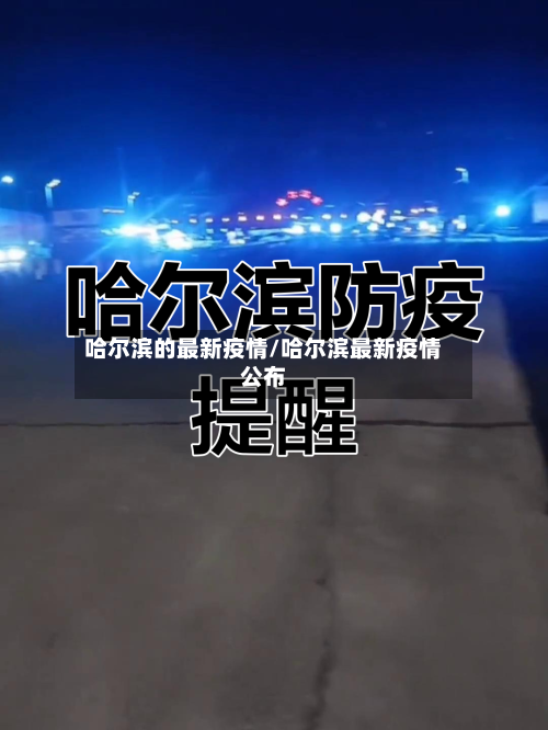 哈尔滨的最新疫情/哈尔滨最新疫情公布-第2张图片