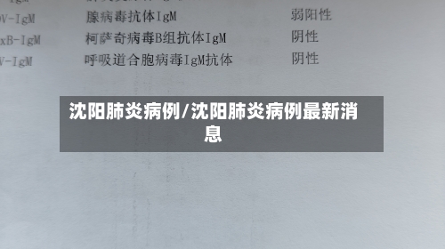 沈阳肺炎病例/沈阳肺炎病例最新消息-第2张图片