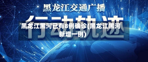 黑龙江黑河已有8例确诊(黑龙江黑河新增一例)-第3张图片