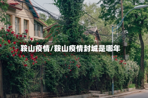 鞍山疫情/鞍山疫情封城是哪年-第2张图片