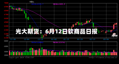 光大期货：6月12日软商品日报
