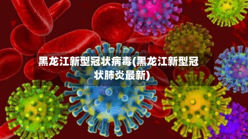 黑龙江新型冠状病毒(黑龙江新型冠状肺炎最新)-第3张图片