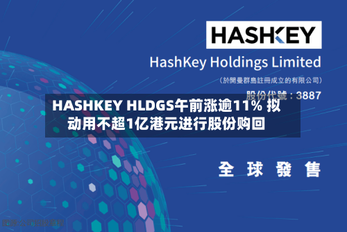 HASHKEY HLDGS午前涨逾11% 拟动用不超1亿港元进行股份购回-第3张图片