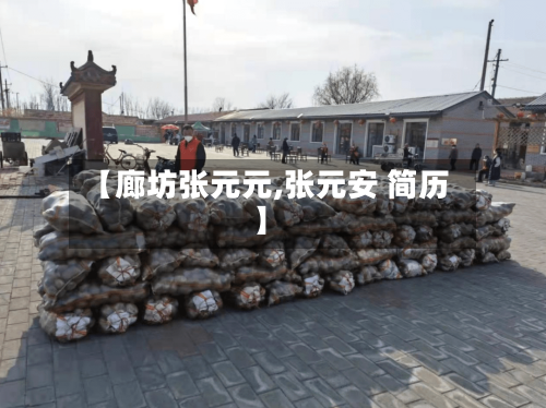 【廊坊张元元,张元安 简历】