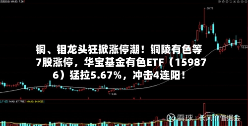 铜、钼龙头狂掀涨停潮！铜陵有色等7股涨停，华宝基金有色ETF（159876）猛拉5.67%，冲击4连阳！-第2张图片