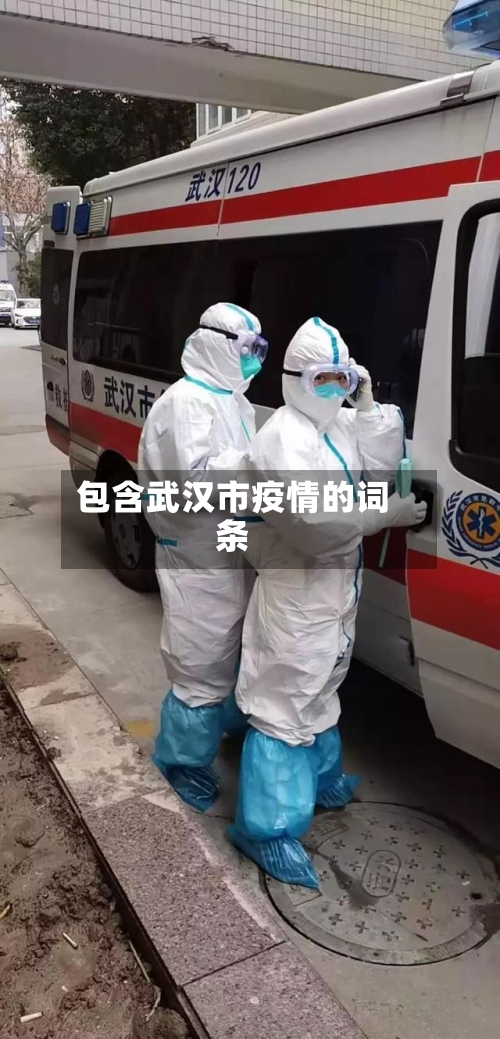 包含武汉市疫情的词条